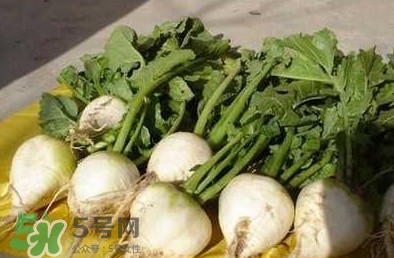 芥菜絲怎么腌制？芥菜絲的腌制方法大全