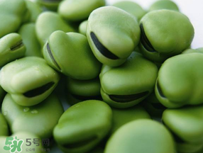 蠶豆發(fā)芽能吃嗎？蠶豆長芽了還能吃嗎？