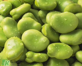 蠶豆發(fā)芽能吃嗎？蠶豆長芽了還能吃嗎？