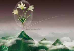 九毒日是哪幾天？2017年九毒日是哪幾天？