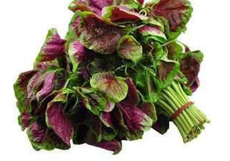 野莧菜能吃嗎？野莧菜圖片