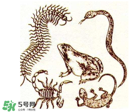 五毒日是哪幾天？2017年五毒日是哪幾天？