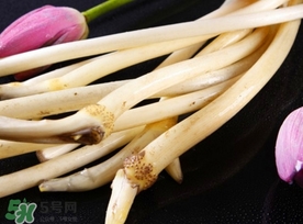 藕帶什么時候有？藕帶什么時候上市