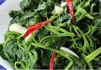 灰灰菜有毒嗎？灰灰菜有沒有毒