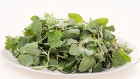 灰灰菜不能和什么一起吃？灰灰菜不能和什么同吃