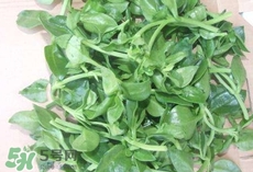 養(yǎng)心菜哪些人不能吃?養(yǎng)心菜哪些人可以吃? 養(yǎng)心菜哪些人不能吃?養(yǎng)心菜哪些人可以吃?