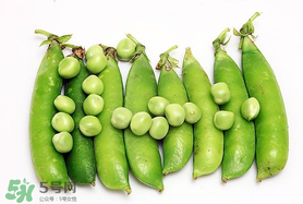 豌豆隔夜能吃嗎？豌豆可以隔夜吃嗎？