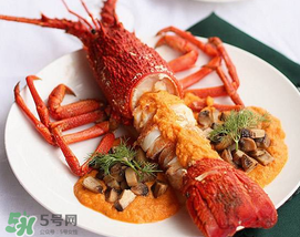 龍蝦怎么養(yǎng)不會死？大龍蝦怎么養(yǎng)不會死？