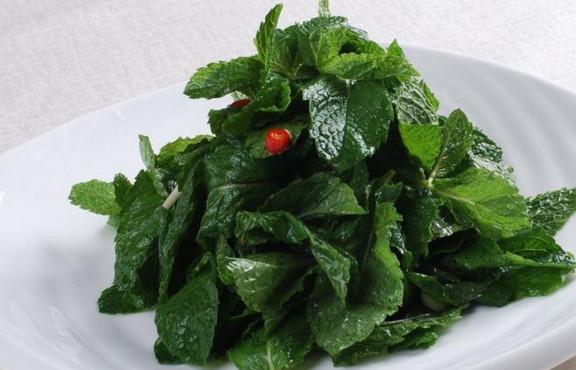 薄荷葉哪里有賣？哪里有薄荷葉賣