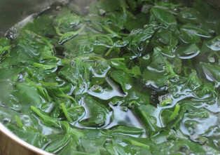 灰灰菜不能和什么一起吃？灰灰菜不能和什么同吃