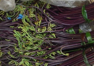 蕨菜干的營養(yǎng)價(jià)值_蕨菜干的功效與作用及食用方法