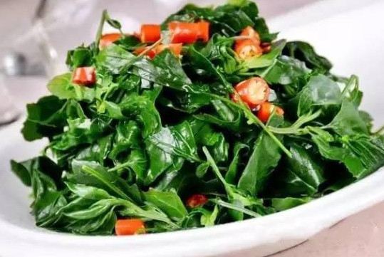 灰灰菜有毒嗎？灰灰菜有沒有毒