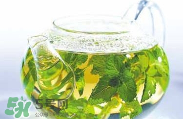 薄荷泡水喝有什么好處？薄荷葉泡水的功效