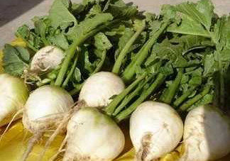 芥菜疙瘩孕婦能吃嗎？孕婦可以吃芥菜疙瘩嗎