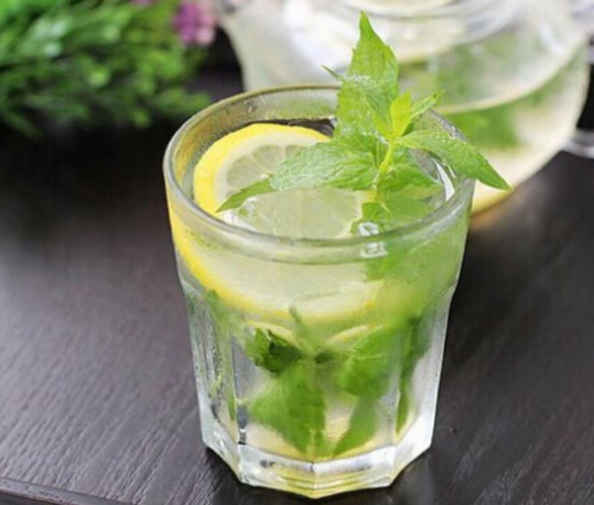 薄荷葉哪里有賣？哪里有薄荷葉賣