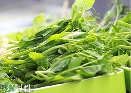 豌豆苗怎么做好吃？豌豆苗的做法