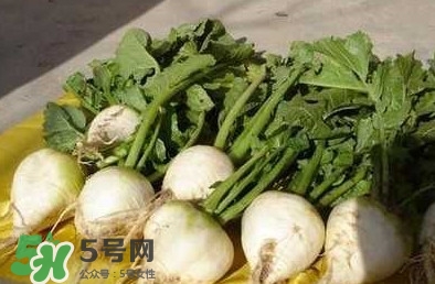 芥菜疙瘩孕婦能吃嗎？孕婦可以吃芥菜疙瘩嗎