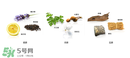 郎朗香水是什么牌子？郎朗香水是什么檔次？