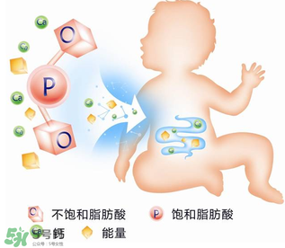 kabrita佳貝艾特羊奶粉怎么樣？kabrita佳貝艾特羊奶粉好不好？