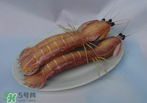 皮皮蝦死了還能吃嗎？皮皮蝦死了多久還能吃？