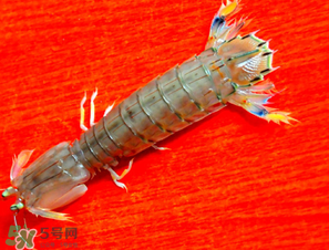 皮皮蝦煮多長時(shí)間？水煮皮皮蝦多長時(shí)間？