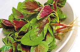 莧菜怎么吃？莧菜怎么炒