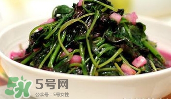 莧菜怎么吃？莧菜怎么炒
