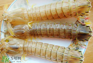 蝦爬子多少錢一斤？2017蝦爬子價格