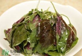 汗菜是發(fā)物嗎？汗菜是不是發(fā)物嗎