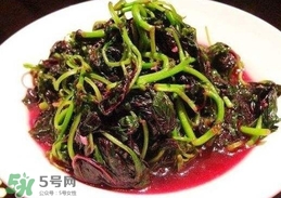 汗菜怎么炒？汗菜怎么吃