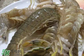 皮皮蝦可以放冰箱嗎？皮皮蝦能放冰箱保存嗎？