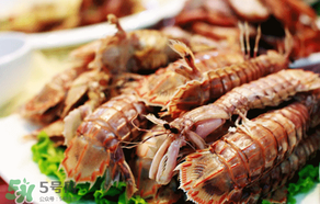 皮皮蝦里面黃的是什么？皮皮蝦有黃的是什么？