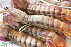 皮皮蝦黃能吃嗎？皮皮蝦黃的營(yíng)養(yǎng)價(jià)值