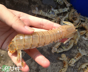 ?皮皮蝦發(fā)綠能吃嗎？?皮皮蝦變綠了還能吃嗎？