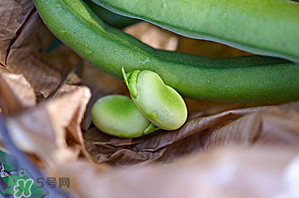 蠶豆可以放冰箱嗎？新鮮蠶豆可以放冰箱嗎？