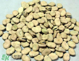 蠶豆長(zhǎng)蟲(chóng)還能吃嗎？蠶豆怎么保存不長(zhǎng)蟲(chóng)？