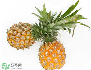 皮皮蝦和菠蘿能一起吃嗎？吃完皮皮蝦能吃菠蘿嗎？