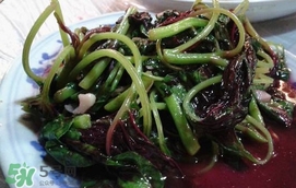 汗菜怎么摘？汗菜怎么擇