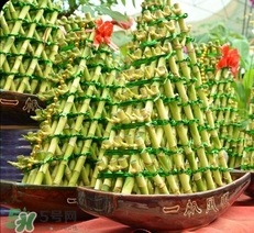 富貴竹有幾個(gè)品種？富貴竹有種子嗎？