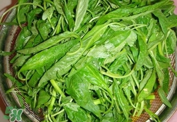 莧菜怎么吃？莧菜怎么炒