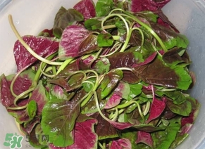 莧菜怎么洗？莧菜怎么擇