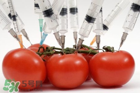 西蘭花是轉(zhuǎn)基因蔬菜？西蘭花轉(zhuǎn)基因食品嗎