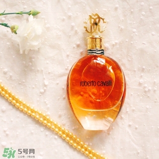 roberto cavalli是什么牌子？羅伯托卡沃利是幾線什么檔次？