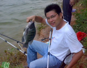 谷雨怎么釣魚？谷雨前后釣魚技巧