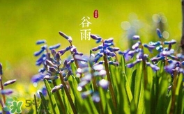 谷雨養(yǎng)生吃什么？谷雨養(yǎng)生常識