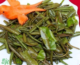 莼菜是什么菜？莼菜是荷葉嗎？