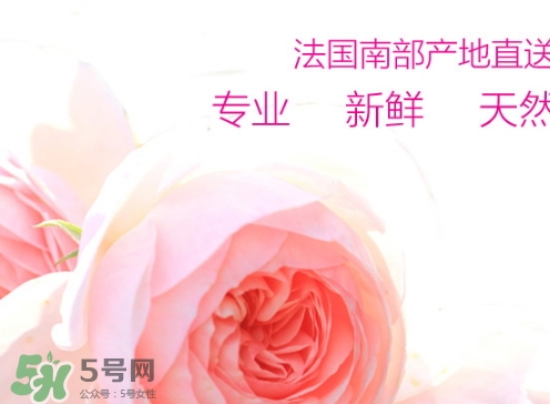 rossi rossa面膜怎么樣？rossi rossa珞珞莊園面膜好不好？