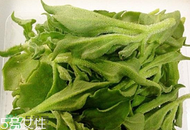 ?冰菜多少錢一斤？? 今年冰菜多少錢一斤？