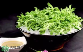 冰菜什么人不適宜吃？冰菜什么體質(zhì)不能吃？