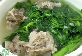 西洋菜是什么菜？西洋菜是什么樣的